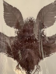 Scary Bat Vinyl Window Cling Decal 28 In x 10 In NEW See Pictures