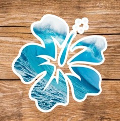 Salt Life (7 Sticker Set) 3in, Waterproof, Glossy Finish Vinyl.