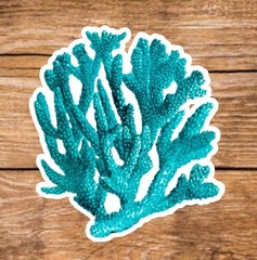 Salt Life (7 Sticker Set) 3in, Waterproof, Glossy Finish Vinyl.