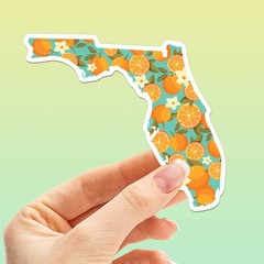 Florida Orange Bumper Sticker – Cute FL Decals