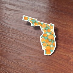 Florida Orange Bumper Sticker – Cute FL Decals