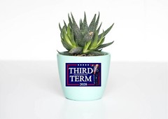 Third Term Trump 2028 Decal Sticker Political MAGA Dance Vance USA America Great