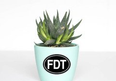 FDT Decal Sticker F Donald Trump Democrat Liberal Hillary Biden Kamala Harris US