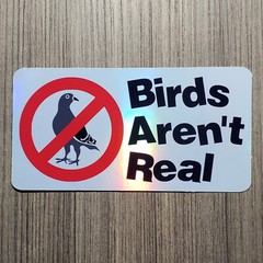 Birds Aren’t Real – Laminated Waterproof Vinyl Sticker – 2 Sizes Available