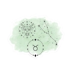 Zodiac Stickers | Perfect for Laptop Water Bottle Phone Case Notebook | 12 Pack