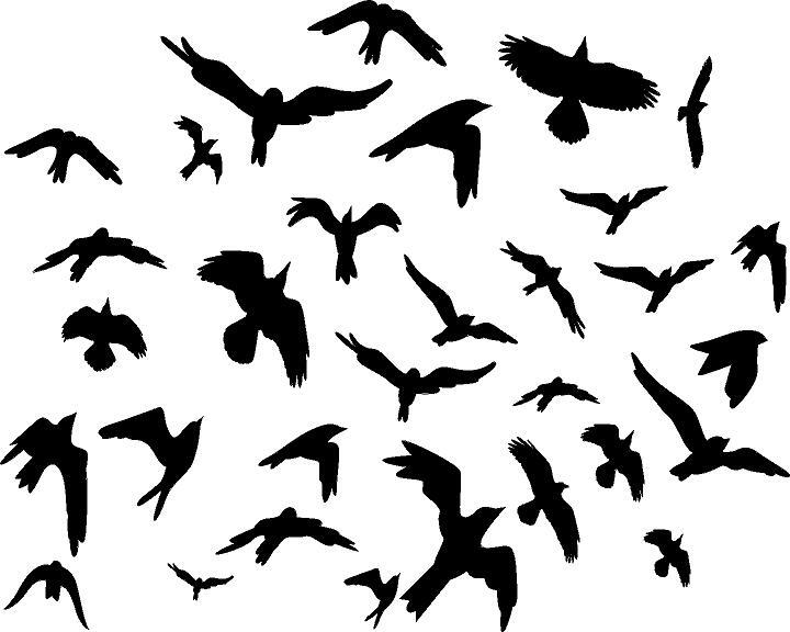 Flock of Birds 20 Bird Set Vinyl Decal Home Décor Various Sizes 0.5″ – 2″ SMALL