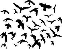 Flock of Birds 20 Bird Set Vinyl Decal Home Décor Various Sizes 0.5″ – 2″ SMALL