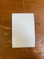 Sticker, Chessie 29 Decal 3″x4″ C&O Historical Society Railroad Rectangle NEW