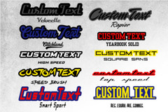 Custom Lazer Cut MULTI COLOR Car Acrylic Emblem Badge Customized Text Names LOGO