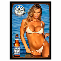 Busch Beer Sticker Sign Beautiful Sex Sandy Blonde With Tan Body 4 Sizes