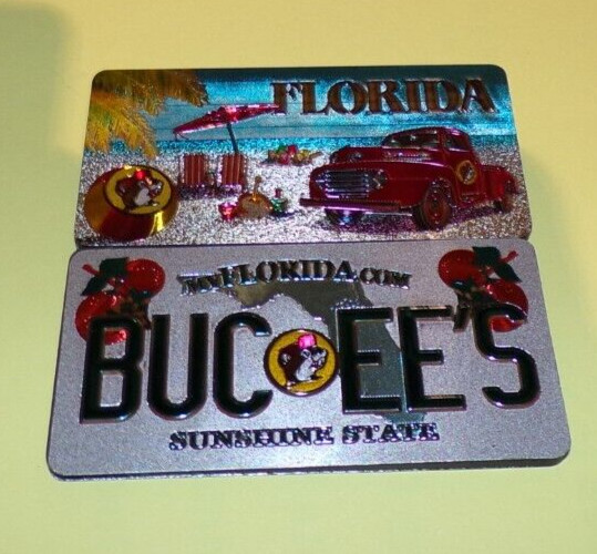 Buc-ee’s Florida The Sunshine State DOUBLE-SIDED Magnet Sparkles Daytona Beach