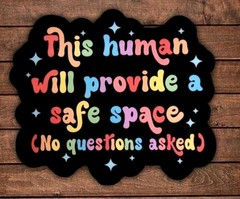 This Human Will Provide A Safe Space Sticker Pride LGBTQ 3x3in Free Shipping