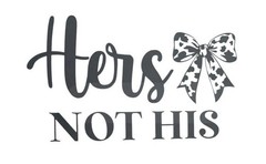 HERS Not HIS Fun Die Cut Vinyl Decal Car Window Colors & Sizes