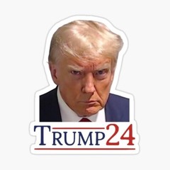 trump 24 mugshot sticker political presidential race funny joke