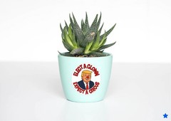 Anti Trump Elect a Clown Expect Circus Decal Sticker Nose MAGA Political Newsom