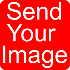 Custom Color Vinyl Decal Sticker Waterproof Different sizes Available