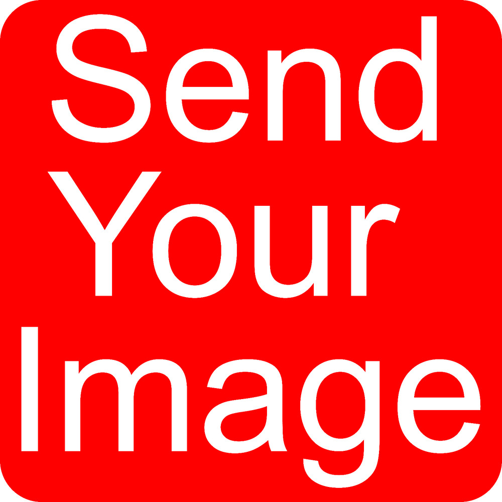 Custom Printed Vinyl Sticker – Send Your Image – Waterproof – sizes Available