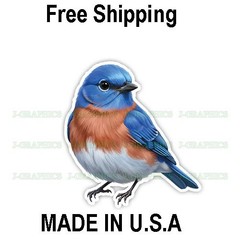 Missouri Eastern Bluebird Bird Vinyl Sticker Decal A