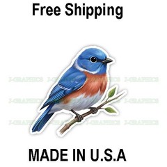 Missouri Eastern Bluebird Bird Vinyl Sticker Decal B