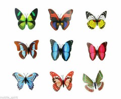 24pcs Multicolor Artificial Butterflies with Magnet Home Decorations Accessories