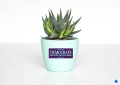 Dumocrats Decal Sticker President Trump Nickname Liberals MAGA Funny Political