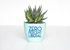 0% Liberal Zero Percent Decal Sticker Trump MAGA Make America Great Political US