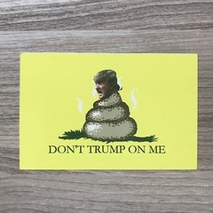 Dump Trump Donald Trump Vinyl Sticker Set – Free Shipping
