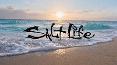 SaltLife Vinyl Decal – Many colors available – Free Shipping