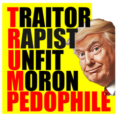 Donald Trump 6pc Vinyl Sticker Set, Kiss Cut, Durable, Waterproof, Anti-Trump