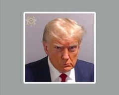 Donald Trump Mug Shot Die Cut Glossy Fridge Magnet