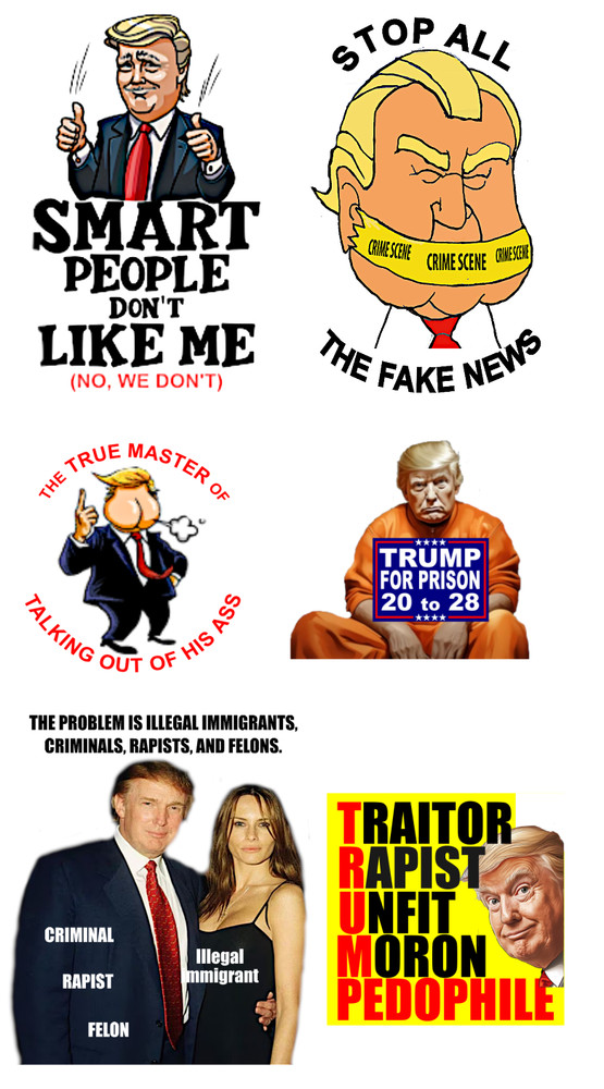 Donald Trump 6pc Vinyl Sticker Set, Kiss Cut, Durable, Waterproof, Anti-Trump