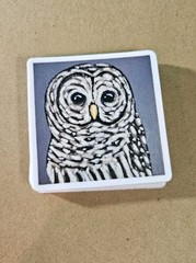 Owl Sticker Matte Vinyl, Original Art, 2.5″ Square Sticker of Barred Owl Art