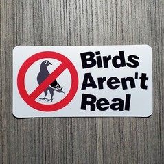 Birds Aren’t Real – Laminated Waterproof Vinyl Sticker – 2 Sizes Available