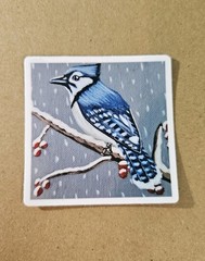 Blue Jay Sticker Matte Vinyl, Original Art, 2.5″ Square Sticker of Bird Art