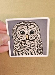 Owl Sticker Matte Vinyl, Original Art, 2.5″ Square Sticker of Barred Owl Art