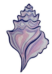 Multicolor Pastel Shell Sticker Vinyl By Liz Benavides