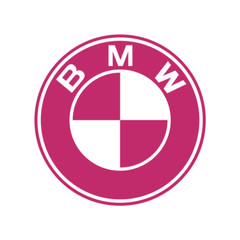 BMW Logo Multicolor die cut decal Made in USA 6+yr outdoor