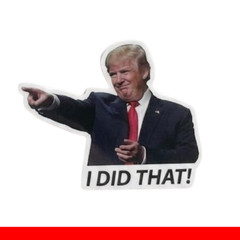 10, 50, 100pc Trump I Did That Stickers, Gas Pump Stickers, High Quality Vinyl