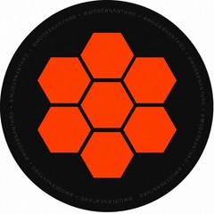 Boards of Canada Inferno Hex Logo Vinyl Sticker 3×3 BoC IDM Ambient Spelling Bee