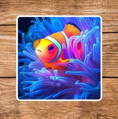 Salt Life (7 Sticker Set) 3in, Waterproof, Glossy Finish Vinyl.