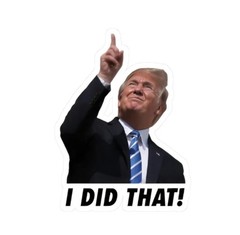 100pc Trump I Did That Stickers, Gas Pump Stickers, High Quality Vinyl