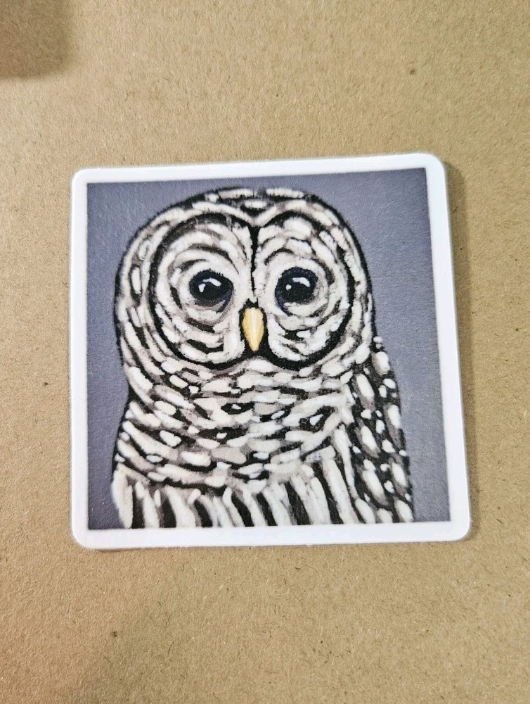 Owl Sticker Matte Vinyl, Original Art, 2.5″ Square Sticker of Barred Owl Art