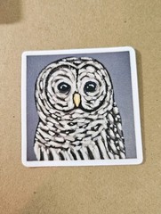 Owl Sticker Matte Vinyl, Original Art, 2.5″ Square Sticker of Barred Owl Art
