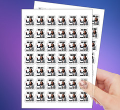 100 PCs “TRUMP DID THAT” Kamala Harris Sticker Pack Funny Trump Decal – 1.1 x 1″