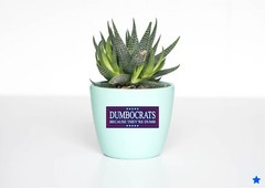 Dumbocrats Decal Sticker President Trump Nickname Liberals MAGA Funny Political