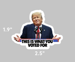 Trump Sticker -“This is What You Voted For” Anti-Trump Political Meme – 12 pack
